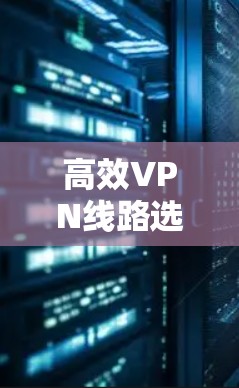 高效VPN线路选择助手，助力安全可靠的网络连接