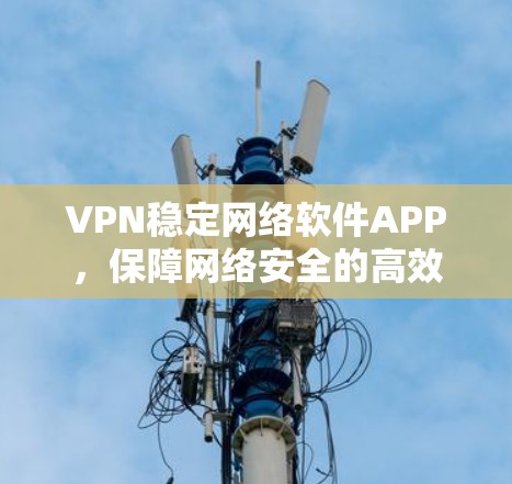 VPN稳定网络软件APP，保障网络安全的高效选择