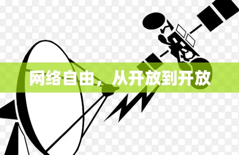 网络自由，从开放到开放