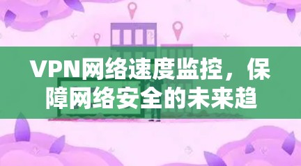 VPN网络速度监控，保障网络安全的未来趋势