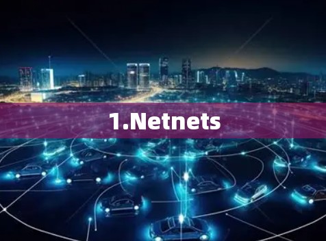 1.Netnets