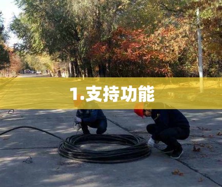 1.支持功能