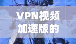 VPN视频加速版的官网可能会有所不同，但以下是一些常见的VPN加速平台的官网链接，供您参考
