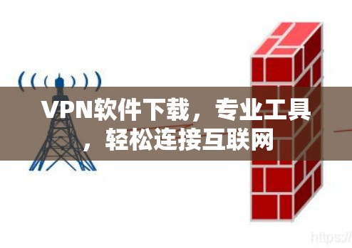 VPN软件下载，专业工具，轻松连接互联网