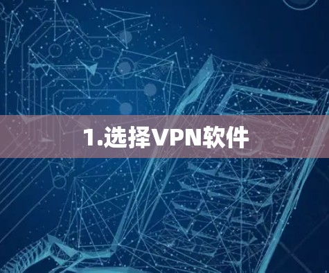 1.选择VPN软件