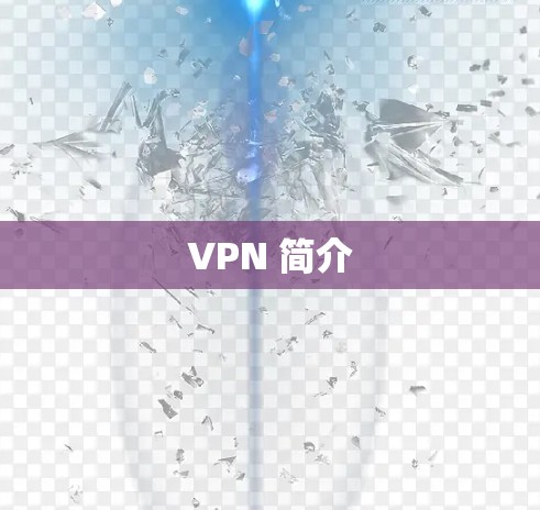 VPN 简介