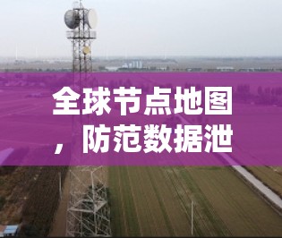 全球节点地图，防范数据泄露的网络地图