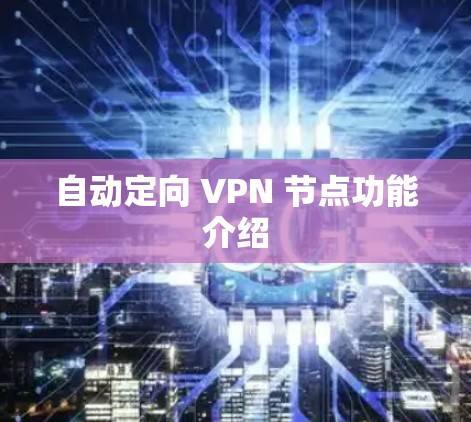 自动定向 VPN 节点功能介绍