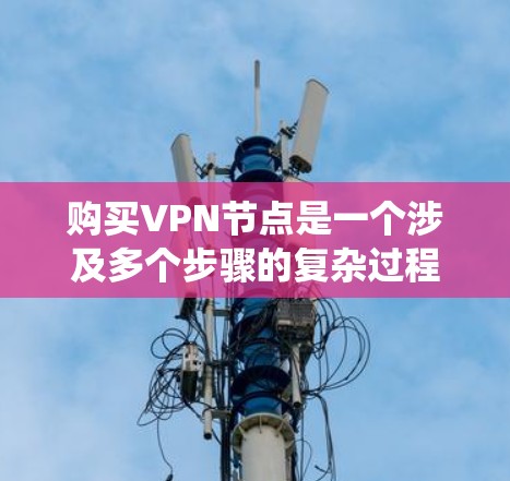 购买VPN节点是一个涉及多个步骤的复杂过程，需要仔细规划和谨慎操作。以下是一步步的指南，帮助你系统地完成购买VPN节点的步骤