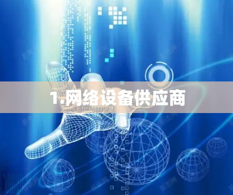 1.网络设备供应商