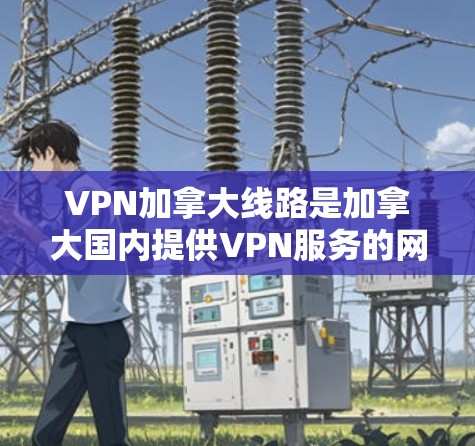 VPN加拿大线路是加拿大国内提供VPN服务的网络，用户可以通过这些VPN服务访问加拿大地区的互联网。以下是加拿大一些主要的VPN服务