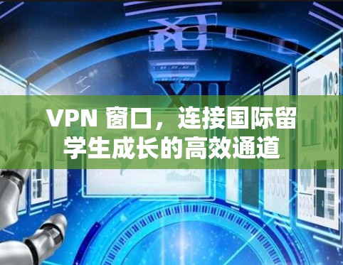 VPN 窗口，连接国际留学生成长的高效通道
