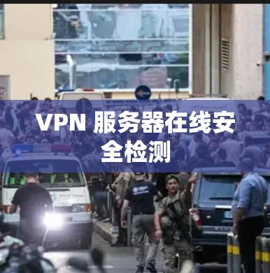 VPN 服务器在线安全检测