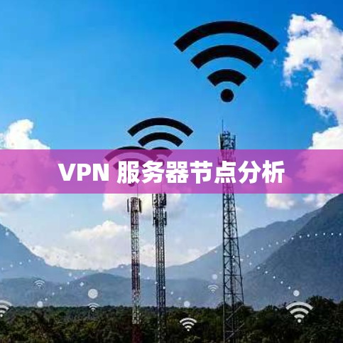 VPN 服务器节点分析