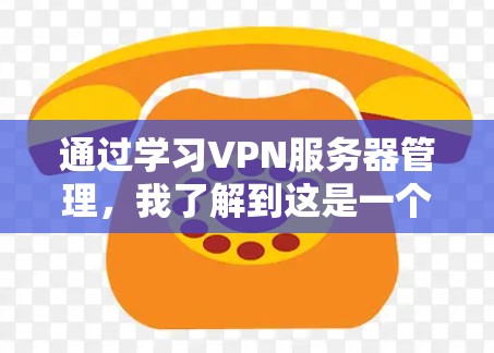 通过学习VPN服务器管理，我了解到这是一个复杂而重要的领域，涉及多个步骤和技巧。以下是我在学习过程中逐步总结出的VPN服务器管理方案