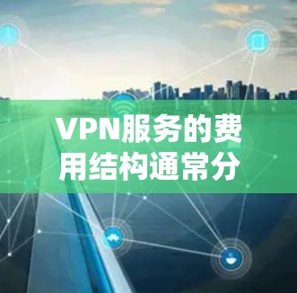 VPN服务的费用结构通常分为基础服务费和额外服务费，具体取决于提供商的套餐和付费服务的类型。以下是一般性的费用分析