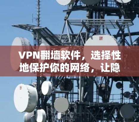VPN翻墙软件，选择性地保护你的网络，让隐私与安全并存