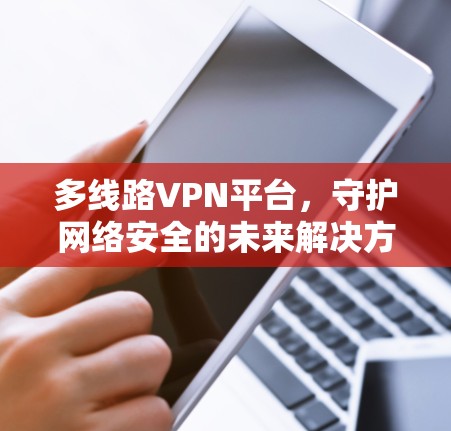 多线路VPN平台，守护网络安全的未来解决方案