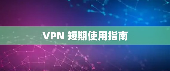 VPN 短期使用指南