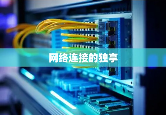 网络连接的独享