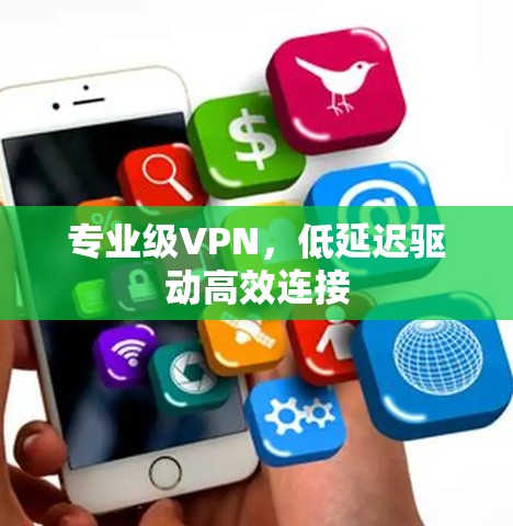 专业级VPN，低延迟驱动高效连接
