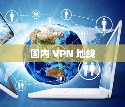 国内 VPN 地线