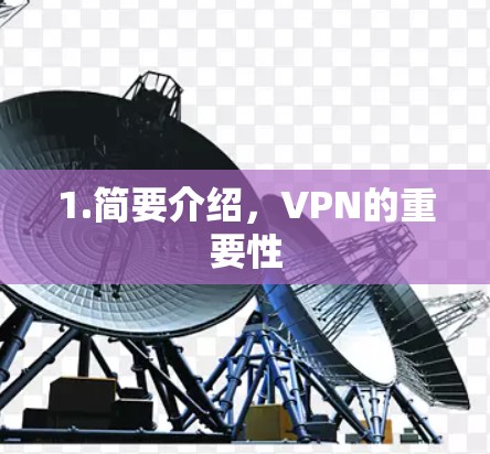 1.简要介绍，VPN的重要性