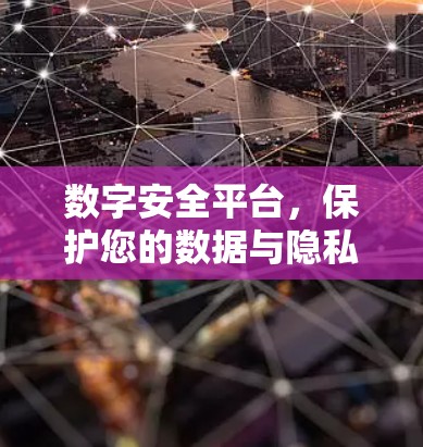 数字安全平台，保护您的数据与隐私