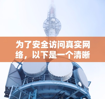 为了安全访问真实网络，以下是一个清晰的步骤指南