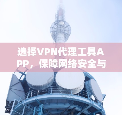 选择VPN代理工具APP，保障网络安全与隐私