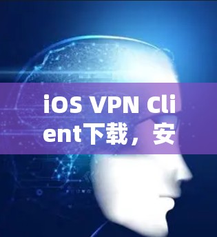 iOS VPN Client下载，安全可靠，高效便捷，轻松Switch到云端