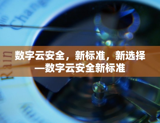 数字云安全，新标准，新选择—数字云安全新标准