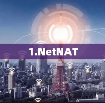 1.NetNAT