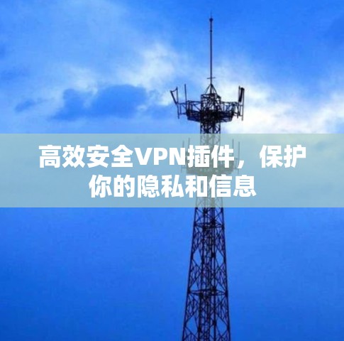 高效安全VPN插件，保护你的隐私和信息