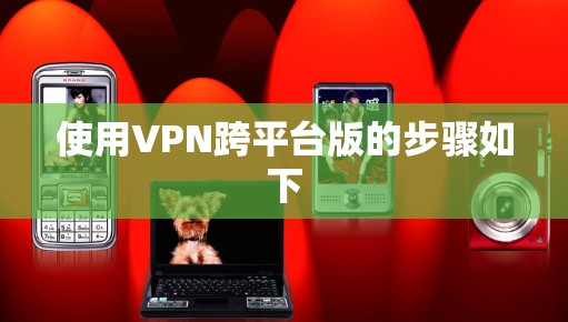使用VPN跨平台版的步骤如下