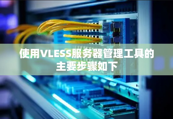 使用VLESS服务器管理工具的主要步骤如下
