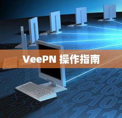 VeePN 操作指南