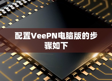 配置VeePN电脑版的步骤如下