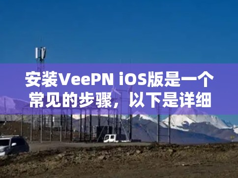 安装VeePN iOS版是一个常见的步骤，以下是详细的步骤指南