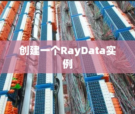创建一个RayData实例