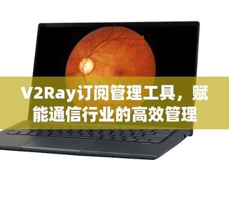 V2Ray订阅管理工具，赋能通信行业的高效管理
