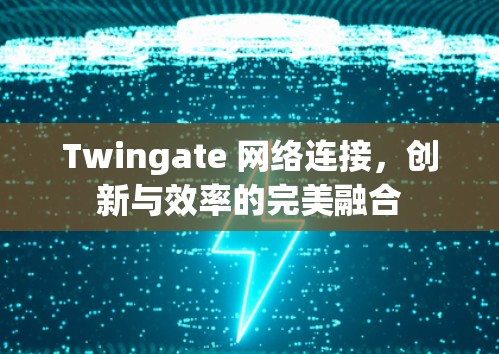 Twingate 网络连接，创新与效率的完美融合