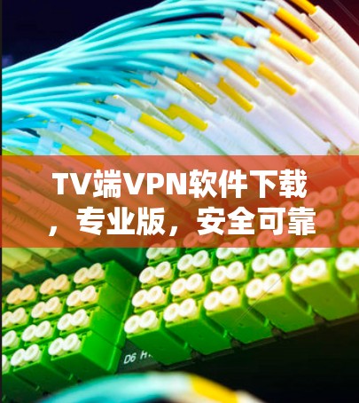 TV端VPN软件下载，专业版，安全可靠，便捷高效