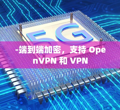 -端到端加密，支持 OpenVPN 和 VPN