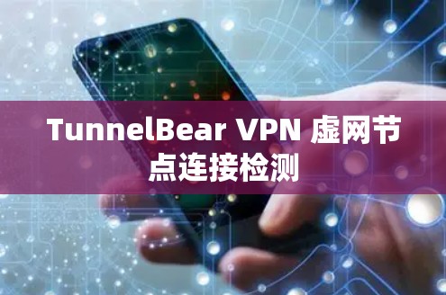 TunnelBear VPN 虚网节点连接检测
