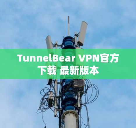 TunnelBear VPN官方下载 最新版本