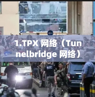1.TPX 网络（Tunnelbridge 网络）