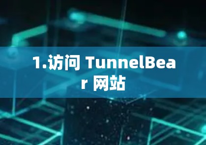 1.访问 TunnelBear 网站