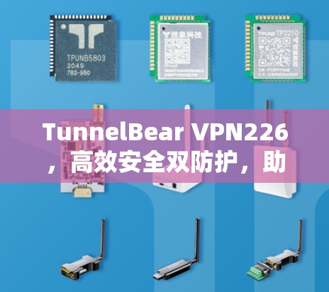 TunnelBear VPN226，高效安全双防护，助力网络稳定与安全