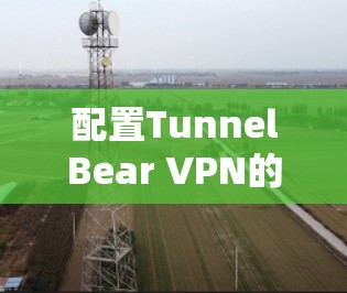 配置TunnelBear VPN的步骤如下